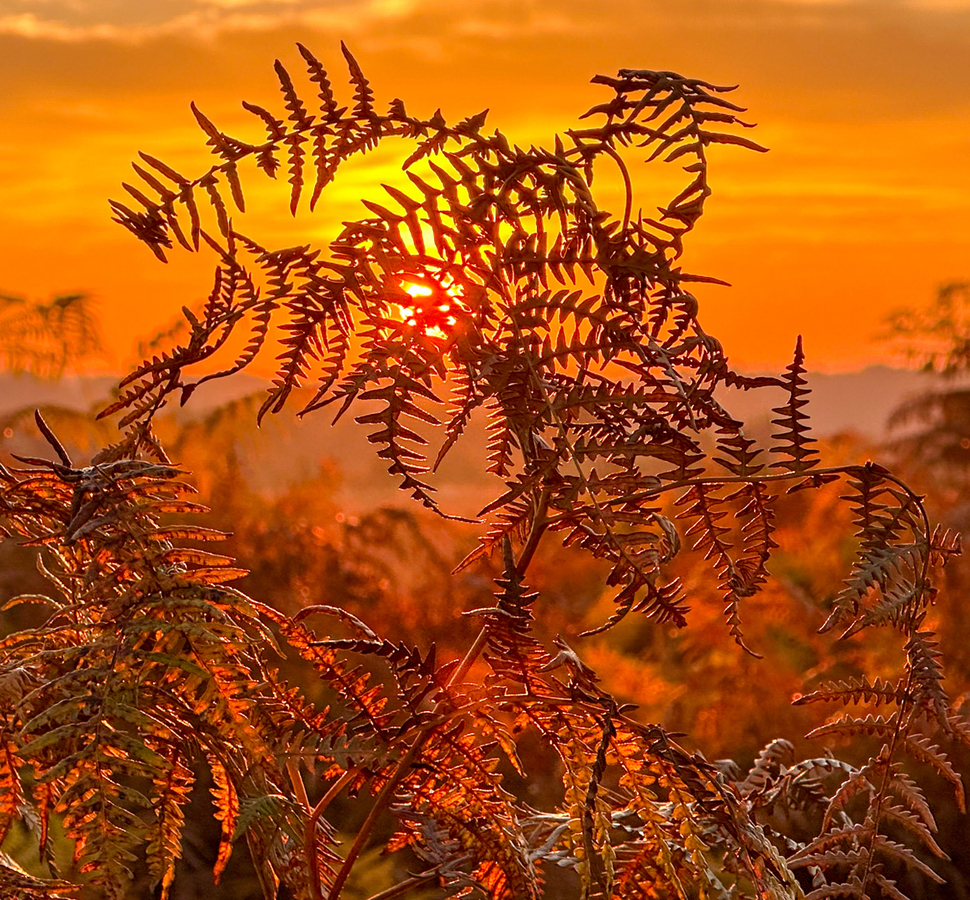 Golden Part 1 winner by Marion Hayhurst